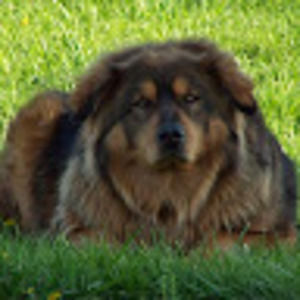 Meet your Posher, Nathan